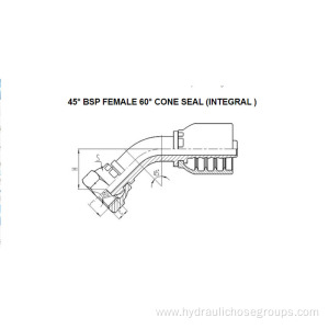 Integral 45° BSP Female 60° Cone 22641-F